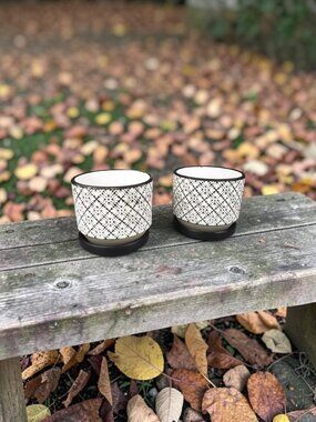 Set Of 2 Terra Cotta Planting Pots